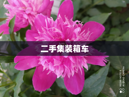 二手集装箱车
