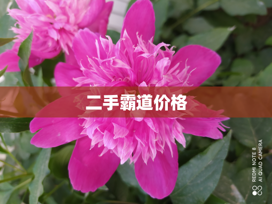 二手霸道价格