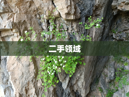 二手领域