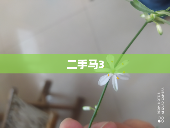 二手马3