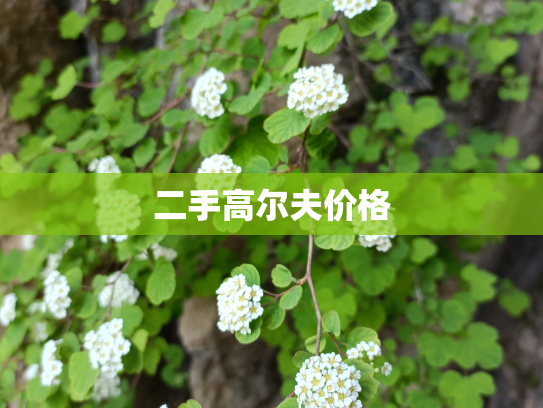 二手高尔夫价格