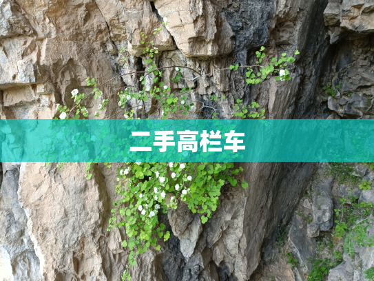 二手高栏车
