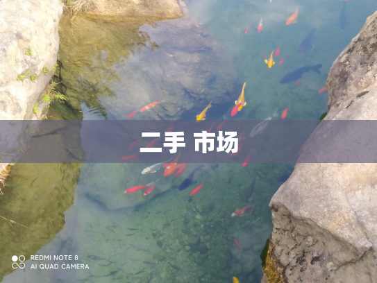 二手 市场