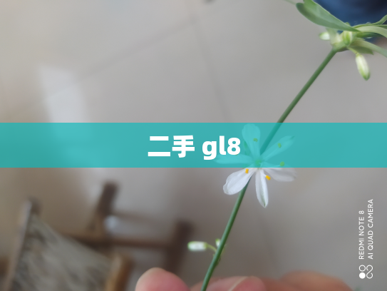 二手 gl8