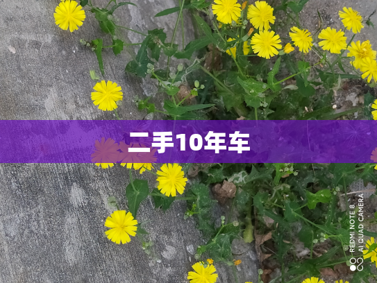 二手10年车