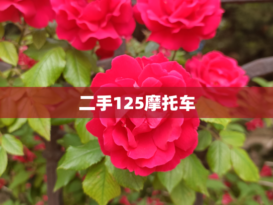 二手125摩托车