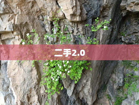二手2.0