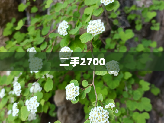 二手2700