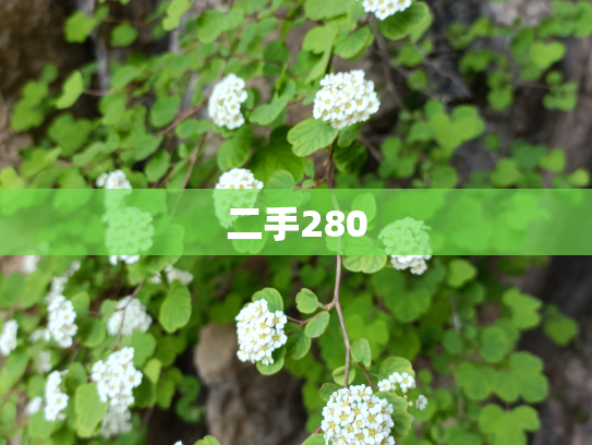 二手280