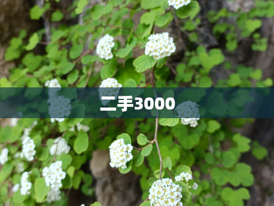 二手3000