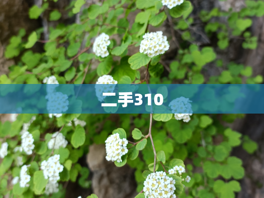 二手310