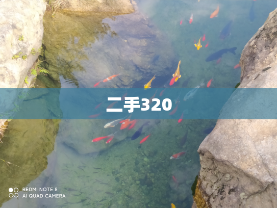 二手320