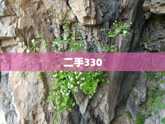 二手330