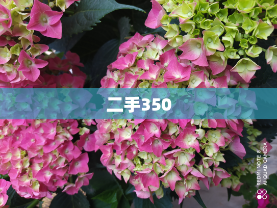 二手350