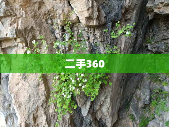 二手360