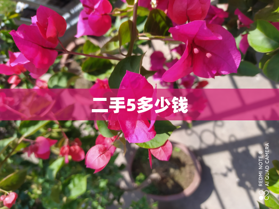 二手5多少钱