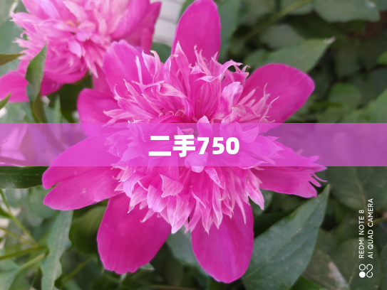 二手750