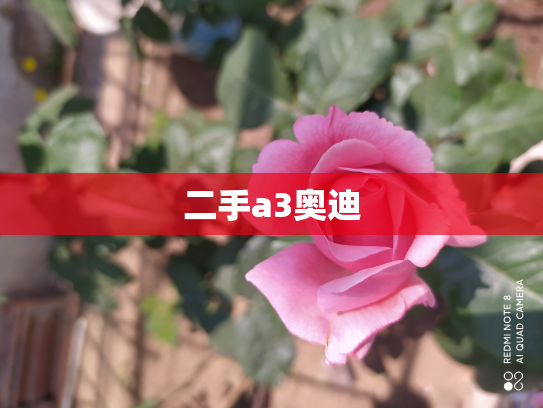 二手a3奥迪