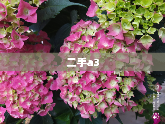 二手a3