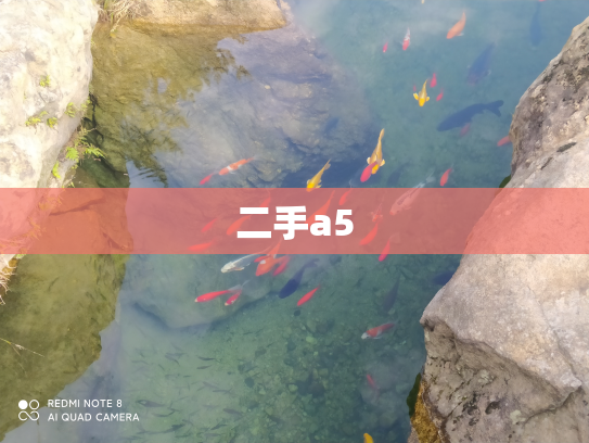 二手a5