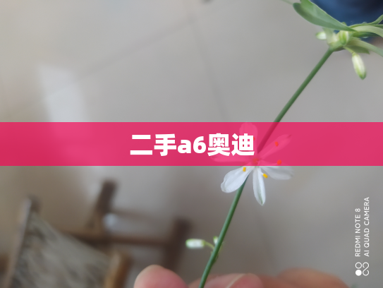 二手a6奥迪