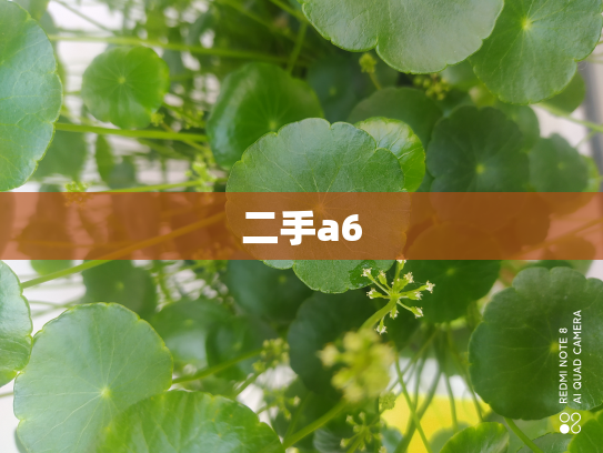 二手a6