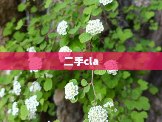 二手cla