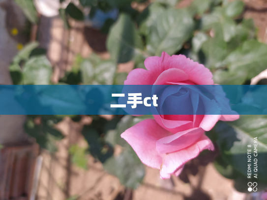 二手ct