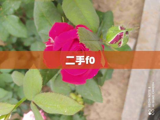 二手f0
