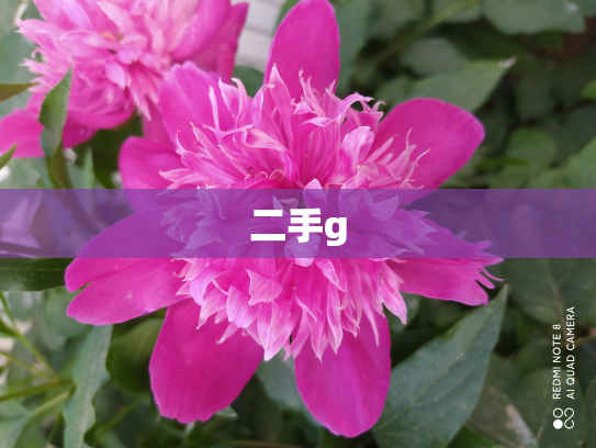 二手g