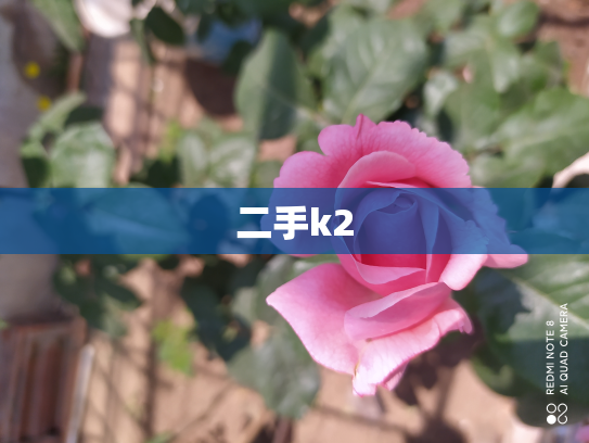二手k2