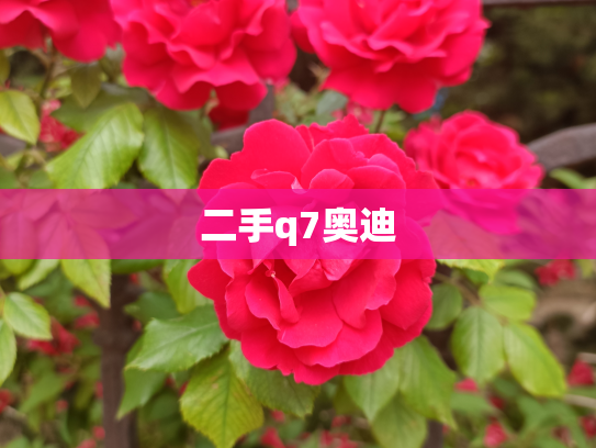 二手q7奥迪