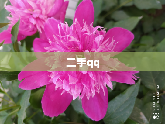 二手qq