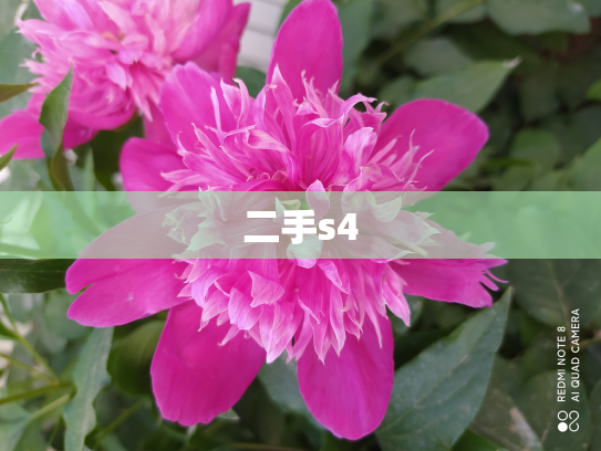 二手s4