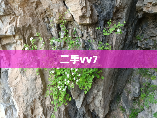 二手vv7