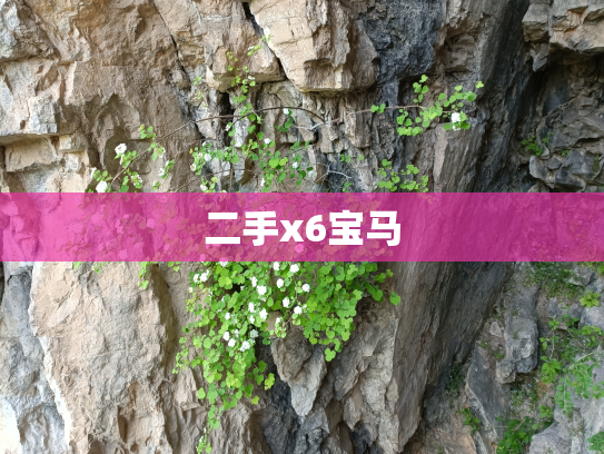 二手x6宝马