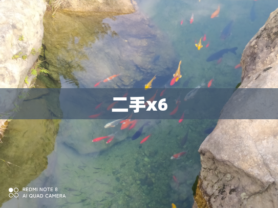 二手x6