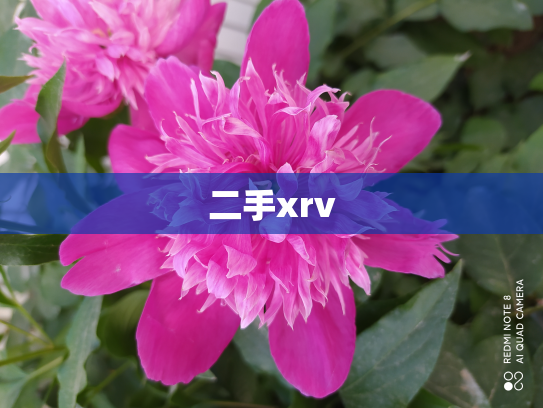 二手xrv
