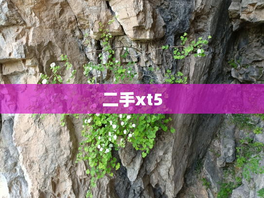 二手xt5