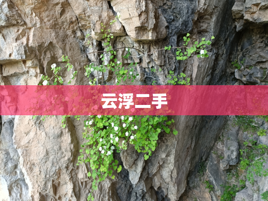 云浮二手