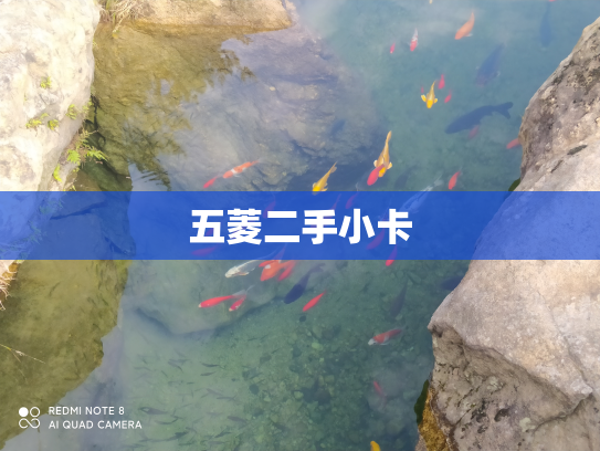 五菱二手小卡