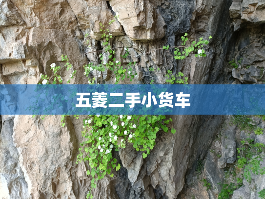 五菱二手小货车