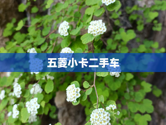 五菱小卡二手车