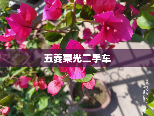 五菱荣光二手车