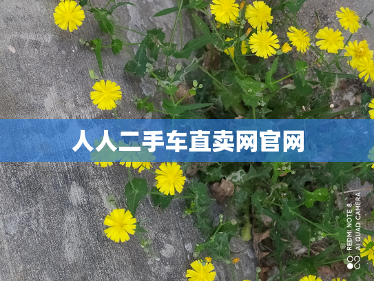 人人二手车直卖网官网