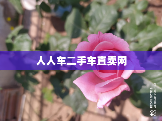 人人车二手车直卖网