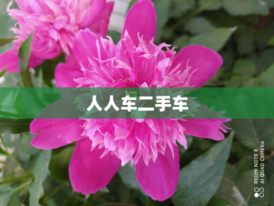 人人车二手车