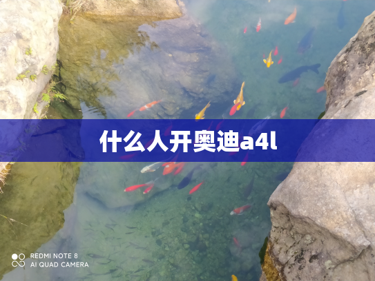 什么人开奥迪a4l