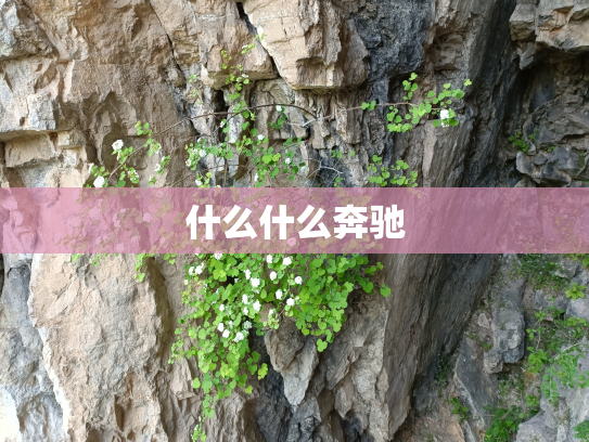 什么什么奔驰