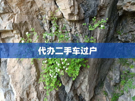 代办二手车过户